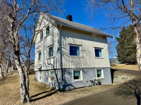 House with perfect location in Leknes